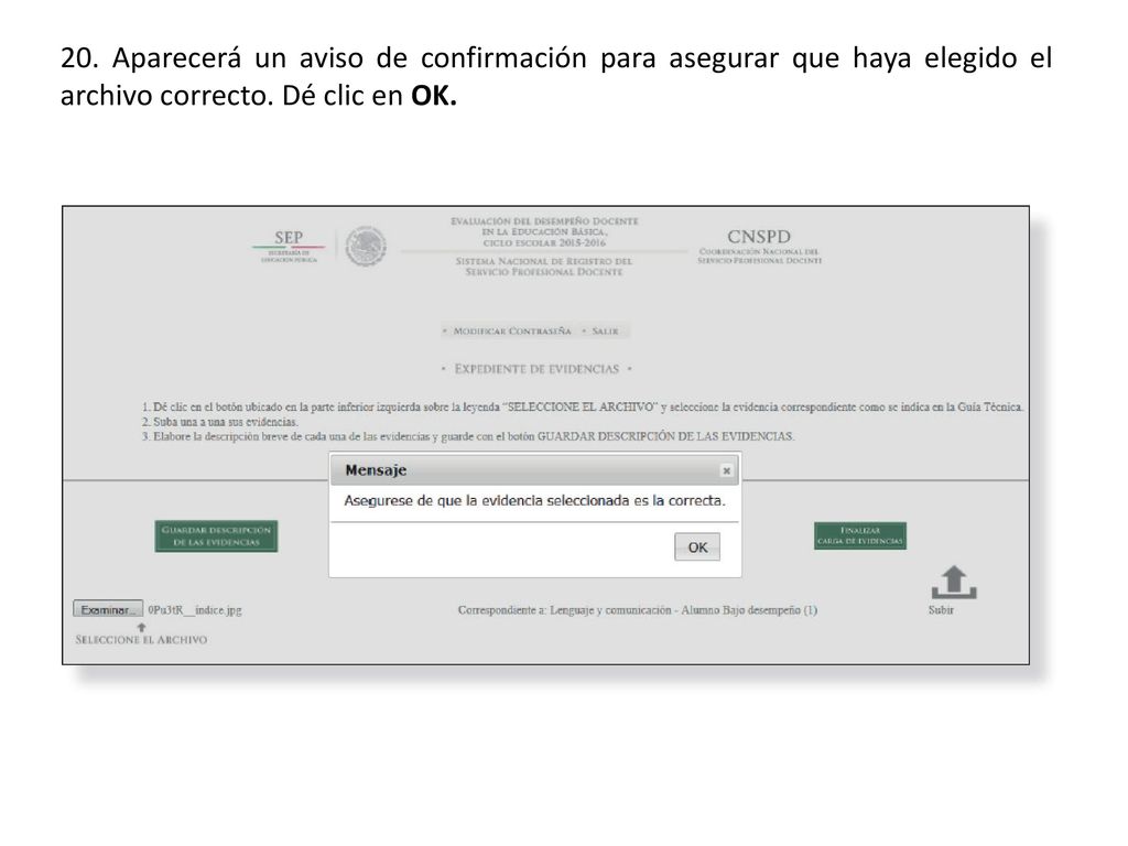 20. Aparecerá un aviso de confirmación para asegurar que haya elegido el archivo correcto.
