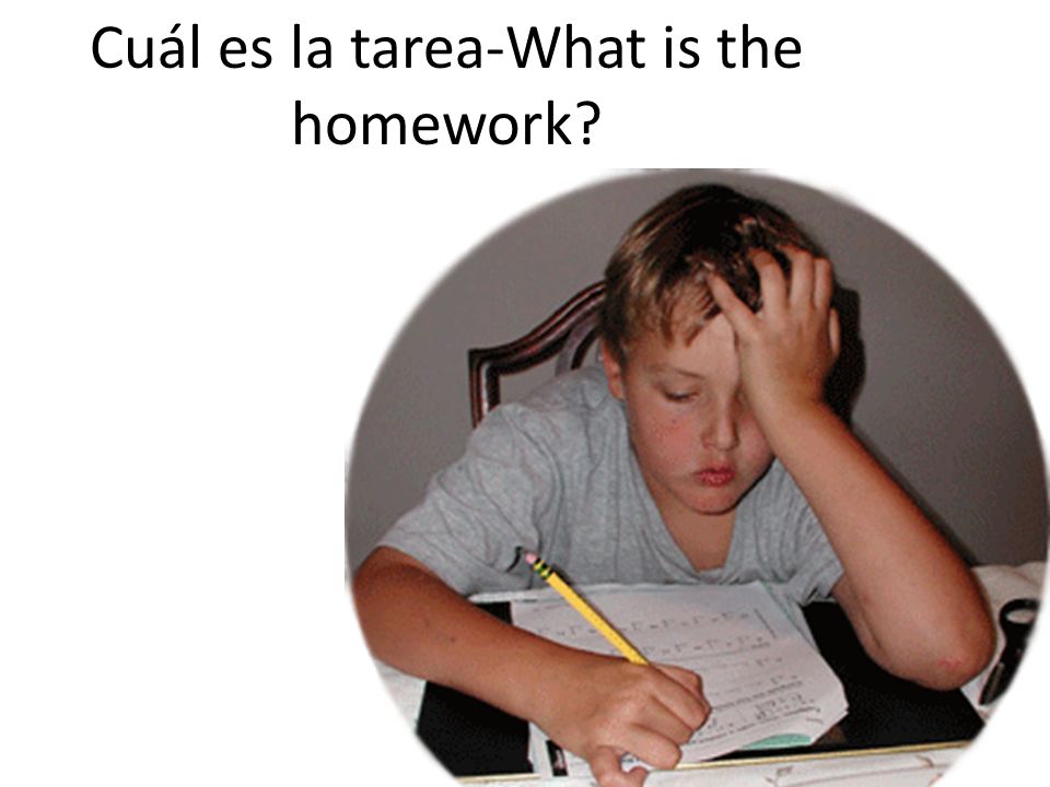 Cuál es la tarea-What is the homework
