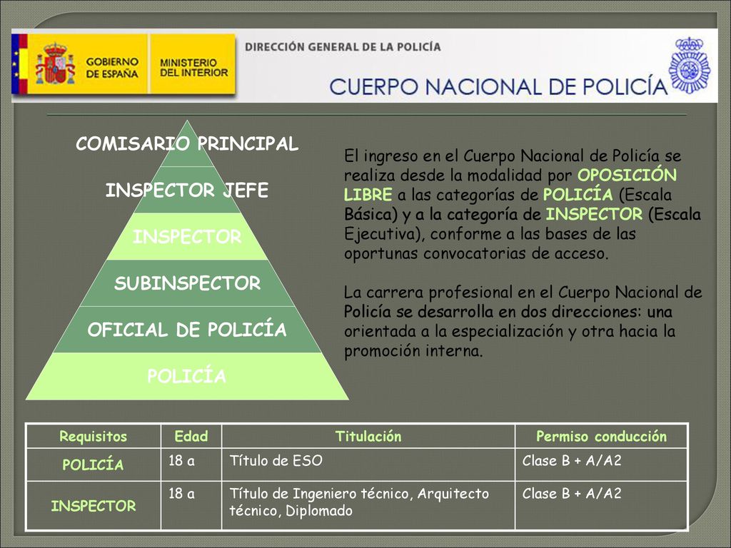 El ingreso en el Cuerpo Nacional de Policía se realiza desde la modalidad por OPOSICIÓN LIBRE a las categorías de POLICÍA (Escala Básica) y a la categoría de INSPECTOR (Escala Ejecutiva), conforme a las bases de las oportunas convocatorias de acceso.