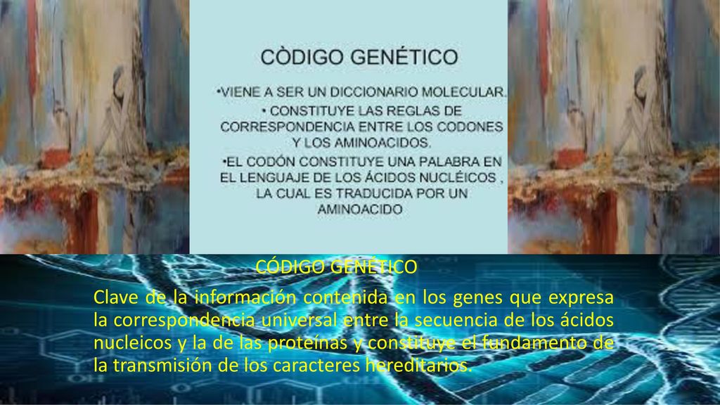CÓDIGO GENÉTICO Clave de la información contenida en los genes que expresa la correspondencia universal entre la secuencia de los ácidos nucleicos y la de las proteínas y constituye el fundamento de la transmisión de los caracteres hereditarios.