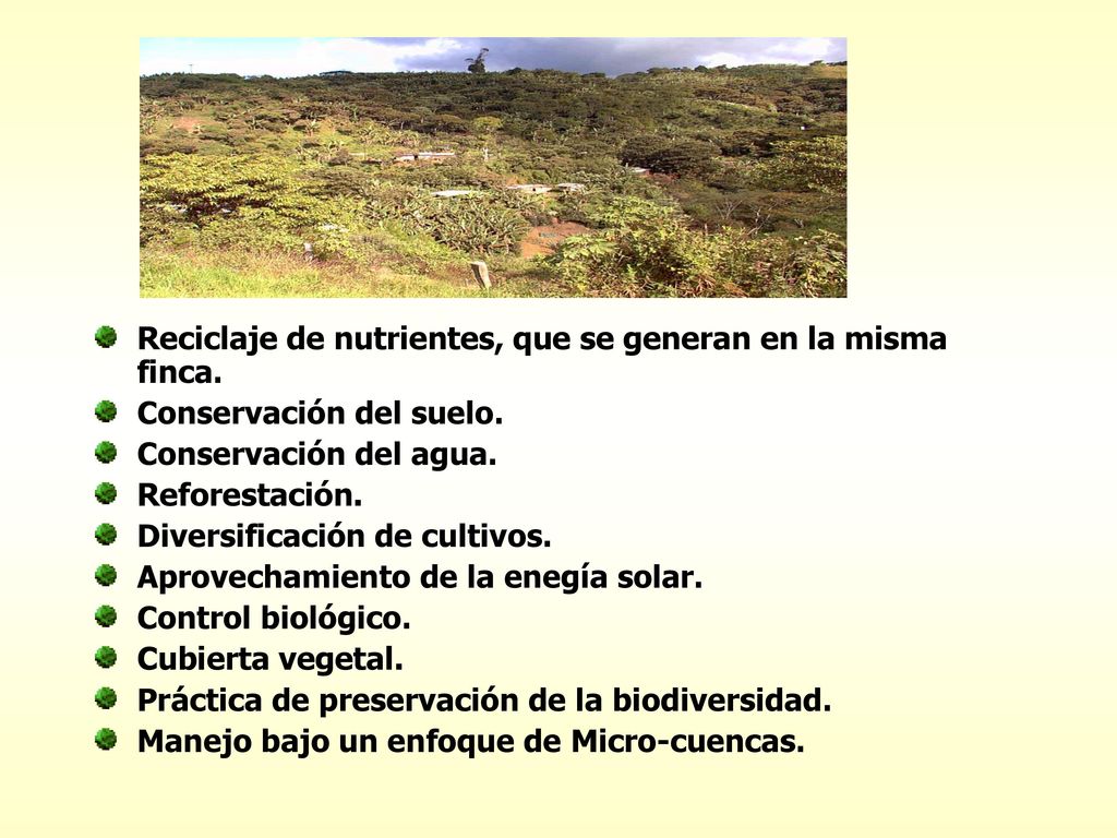 Reciclaje de nutrientes, que se generan en la misma finca.