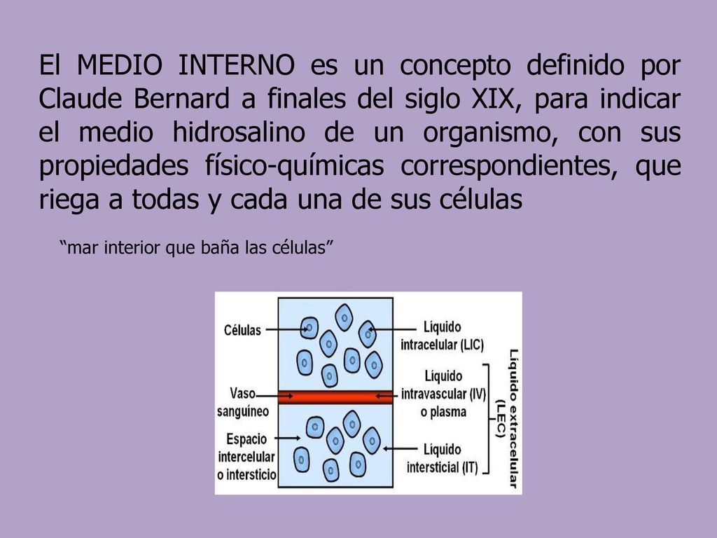 El MEDIO INTERNO es un concepto definido por Claude Bernard a finales del siglo XIX, para indicar el medio hidrosalino de un organismo, con sus propiedades físico-químicas correspondientes, que riega a todas y cada una de sus células
