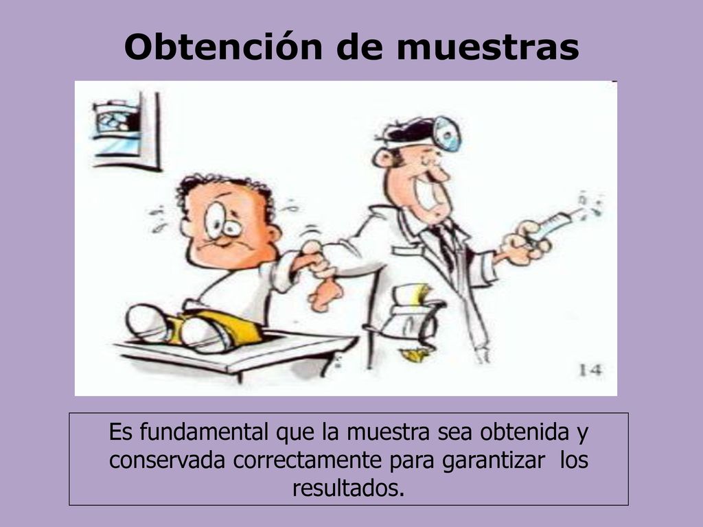 Obtención de muestras Es fundamental que la muestra sea obtenida y conservada correctamente para garantizar los resultados.