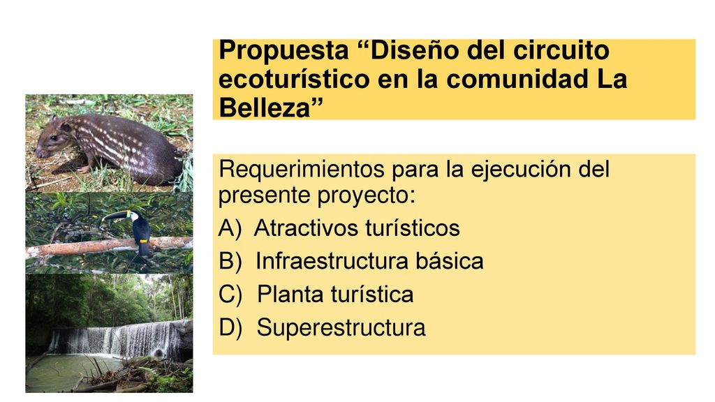 Propuesta Diseño del circuito ecoturístico en la comunidad La Belleza