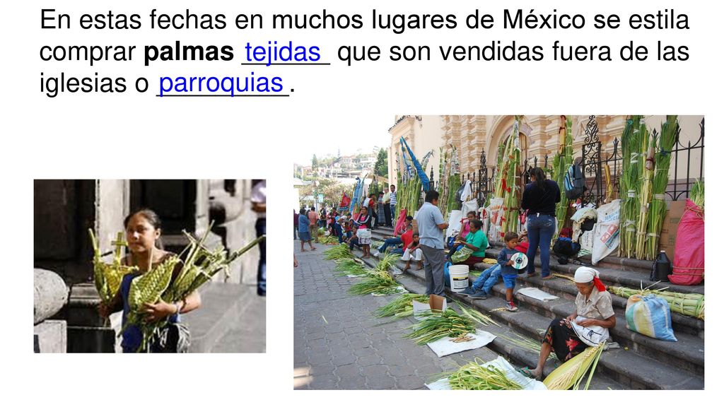 En estas fechas en muchos lugares de México se estila comprar palmas ______ que son vendidas fuera de las iglesias o _________.
