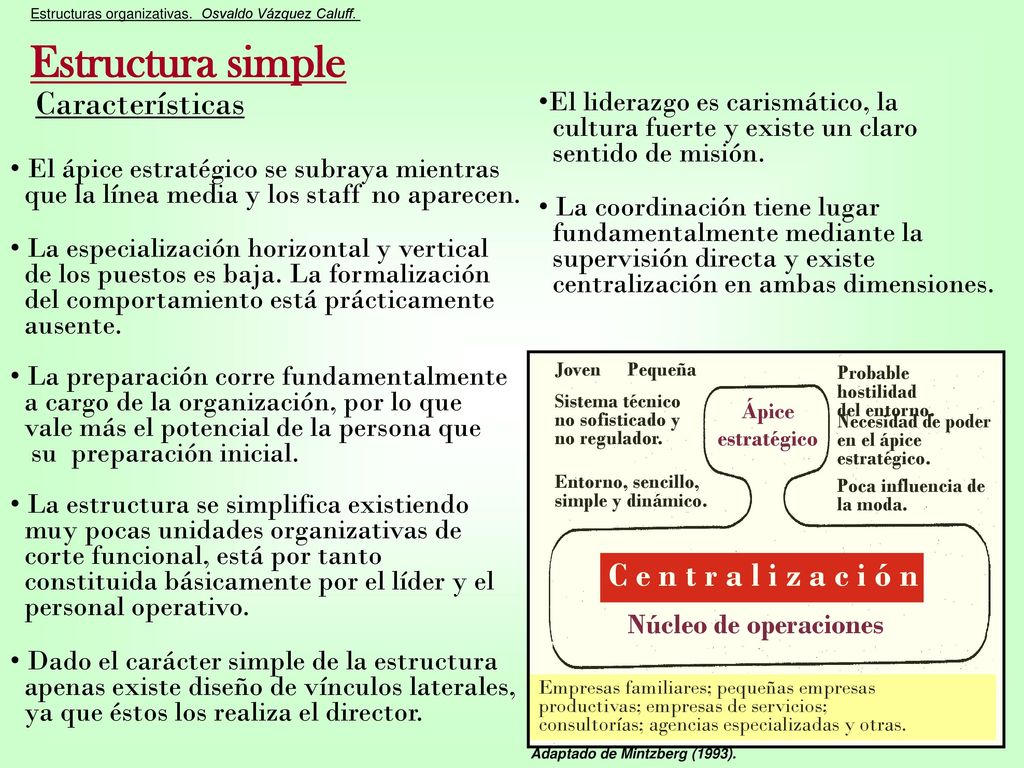 Estructura simple Características C e n t r a l i z a c i ó n