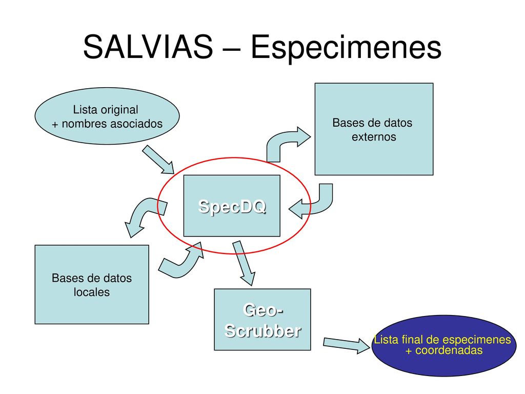 Lista final de especimenes