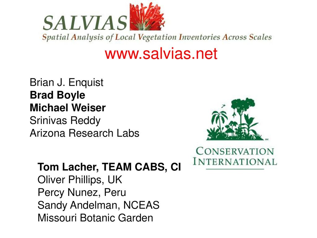 salvias   Brian J. Enquist Brad Boyle Michael Weiser