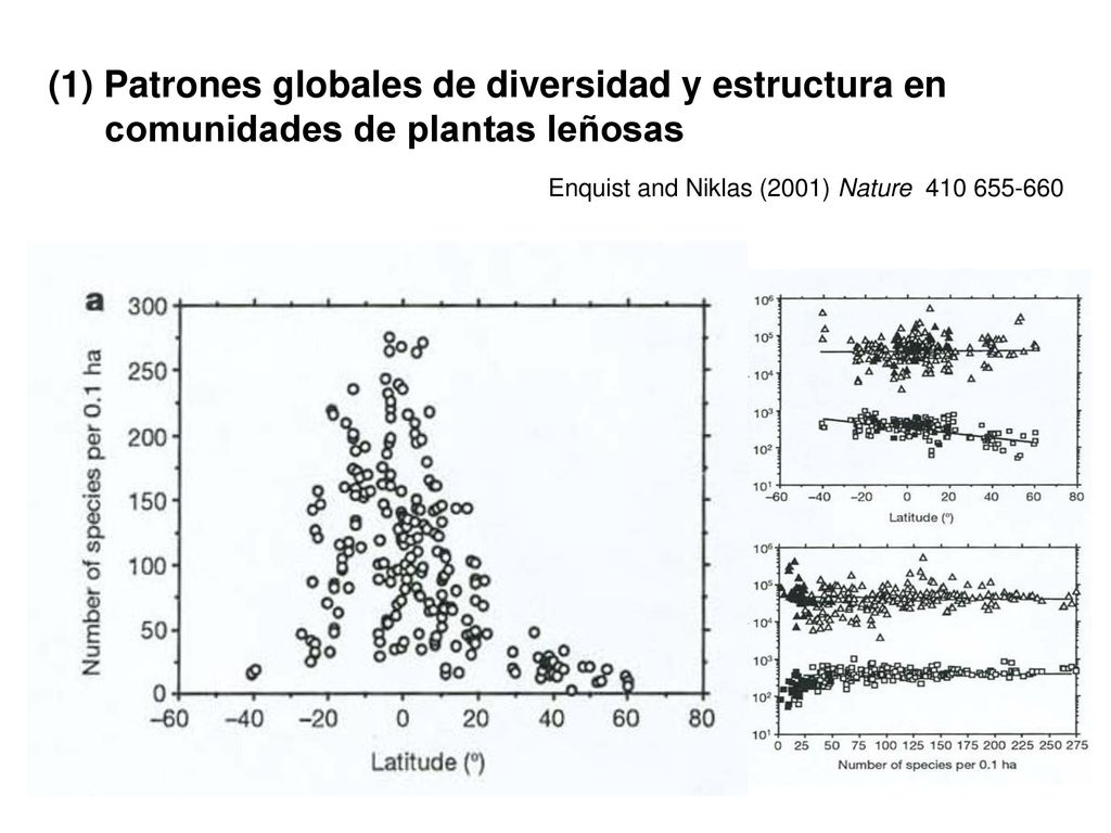 (1) Patrones globales de diversidad y estructura en comunidades de plantas leñosas