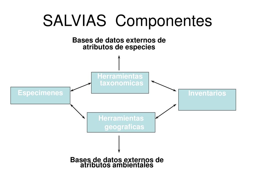 SALVIAS Componentes Bases de datos externos de atributos de especies