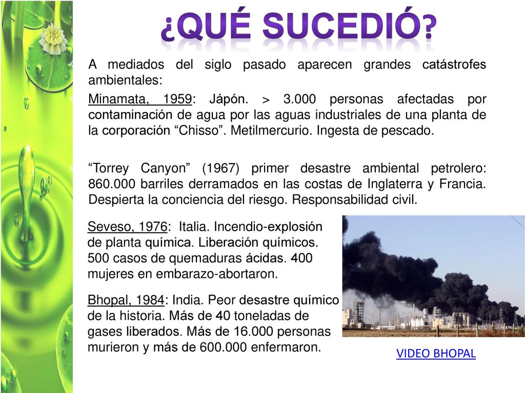 ¿Qué sucedió A mediados del siglo pasado aparecen grandes catástrofes ambientales:
