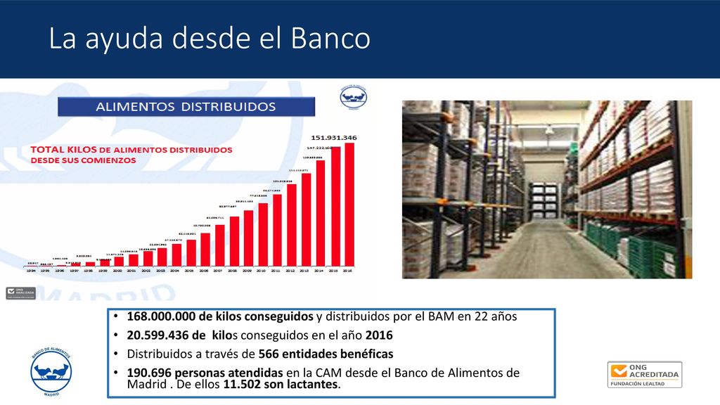 La ayuda desde el Banco de kilos conseguidos y distribuidos por el BAM en 22 años de kilos conseguidos en el año