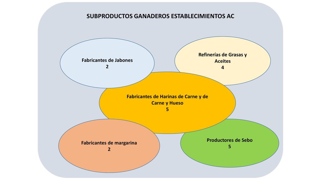 SUBPRODUCTOS GANADEROS ESTABLECIMIENTOS AC