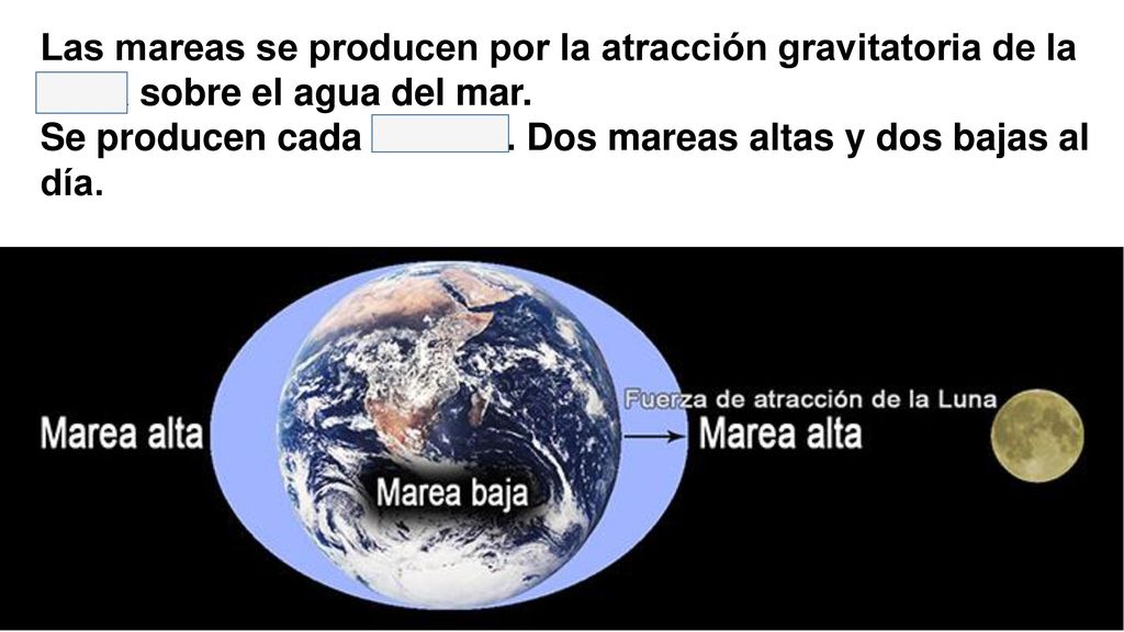 Las mareas se producen por la atracción gravitatoria de la Luna sobre el agua del mar.