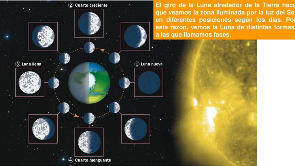 El giro de la Luna alrededor de la Tierra hace que veamos la zona iluminada por la luz del Sol en diferentes posiciones según los días.