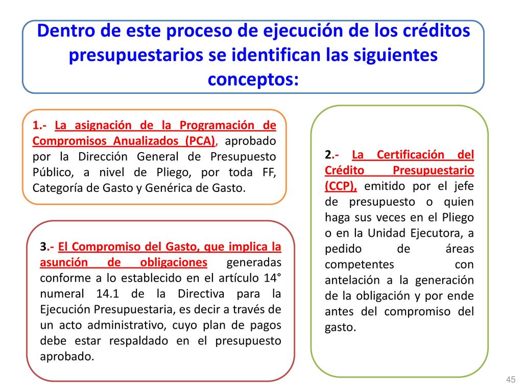 Dentro de este proceso de ejecución de los créditos presupuestarios se identifican las siguientes conceptos: