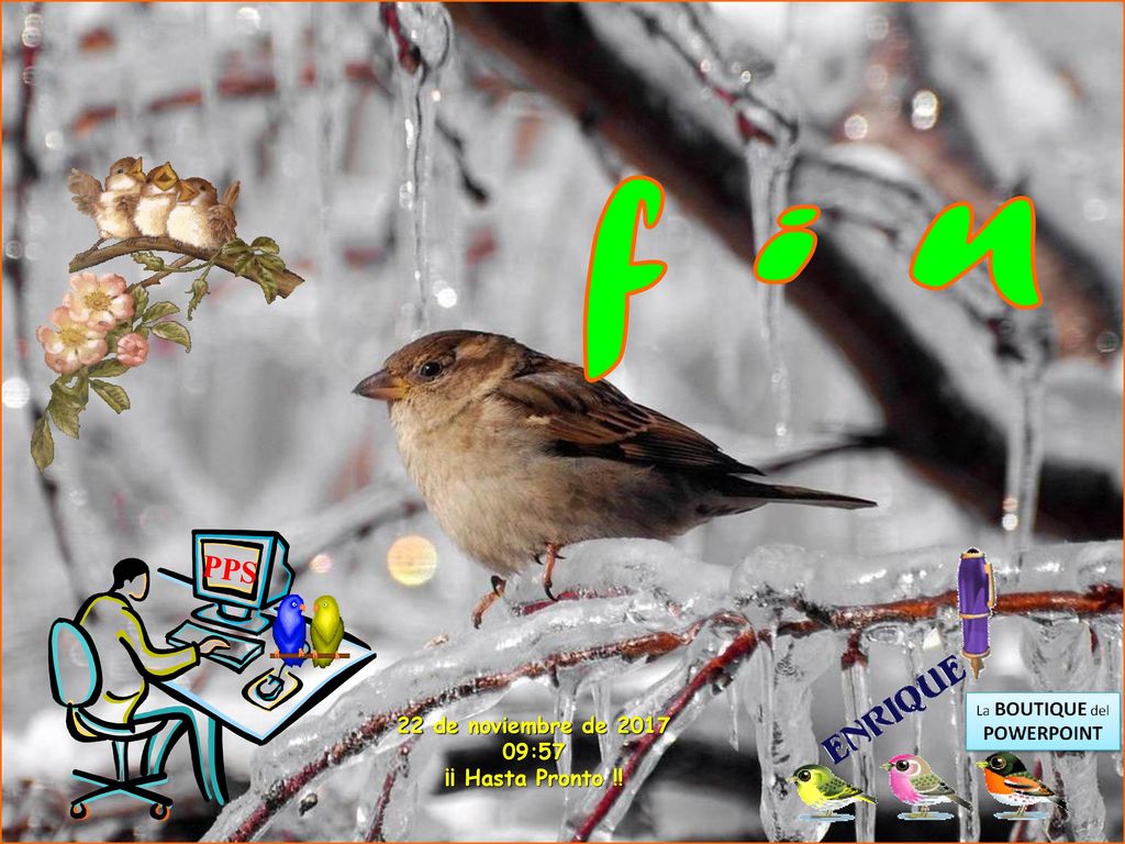 f i n PPS 22 de noviembre de :56 ¡¡ Hasta Pronto !!