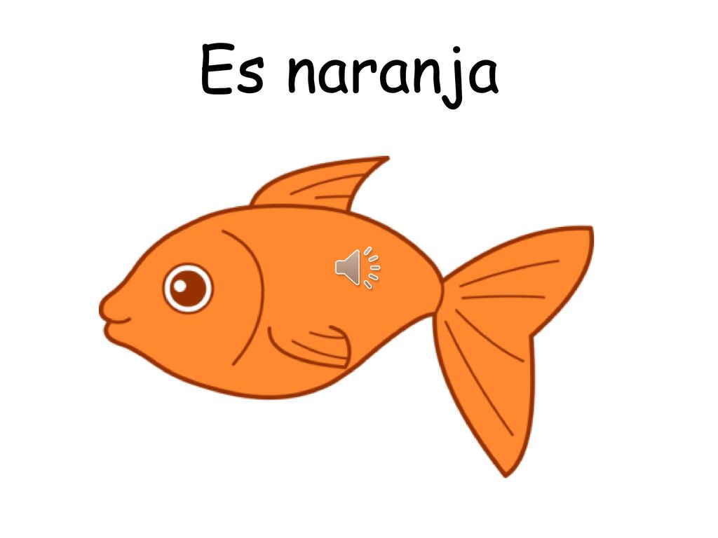 Es naranja Note that you pronounce the T on the end of C’est when it’s followed by a vowel!