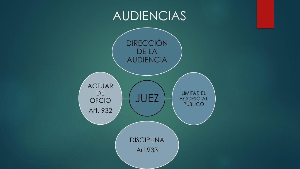 AUDIENCIAS DIRECCIÓN DE LA AUDIENCIA LIMITAR EL ACCESO AL PÚBLICO JUEZ
