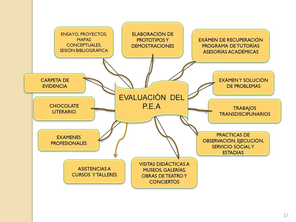 EVALUACIÓN DEL P.E.A ELABORACIÓN DE PROTOTIPOS Y DEMOSTRACIONES