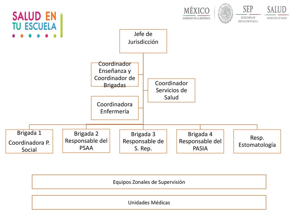 Brigada 2 Responsable del PSAA Brigada 3 Responsable de S. Rep.