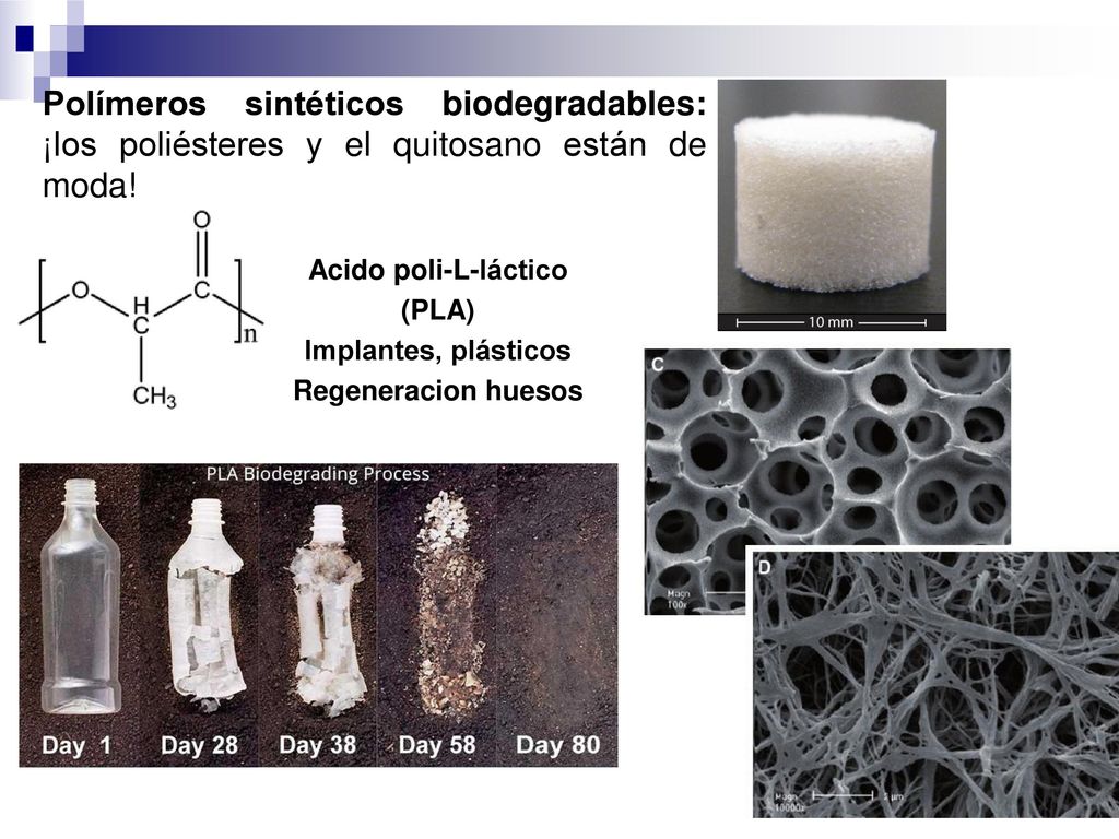 Polímeros sintéticos biodegradables: ¡los poliésteres y el quitosano están de moda!
