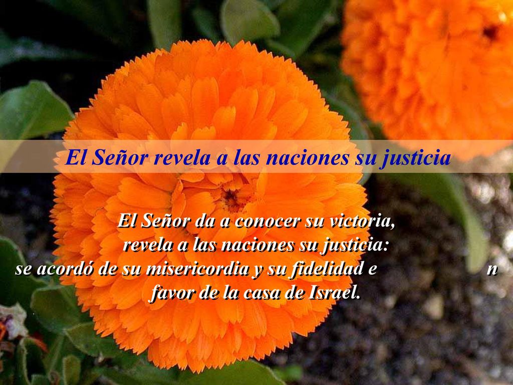 El Señor da a conocer su victoria, revela a las naciones su justicia: