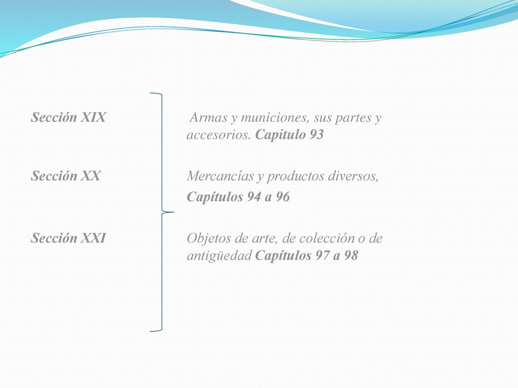 Sección XIX Armas y municiones, sus partes y accesorios