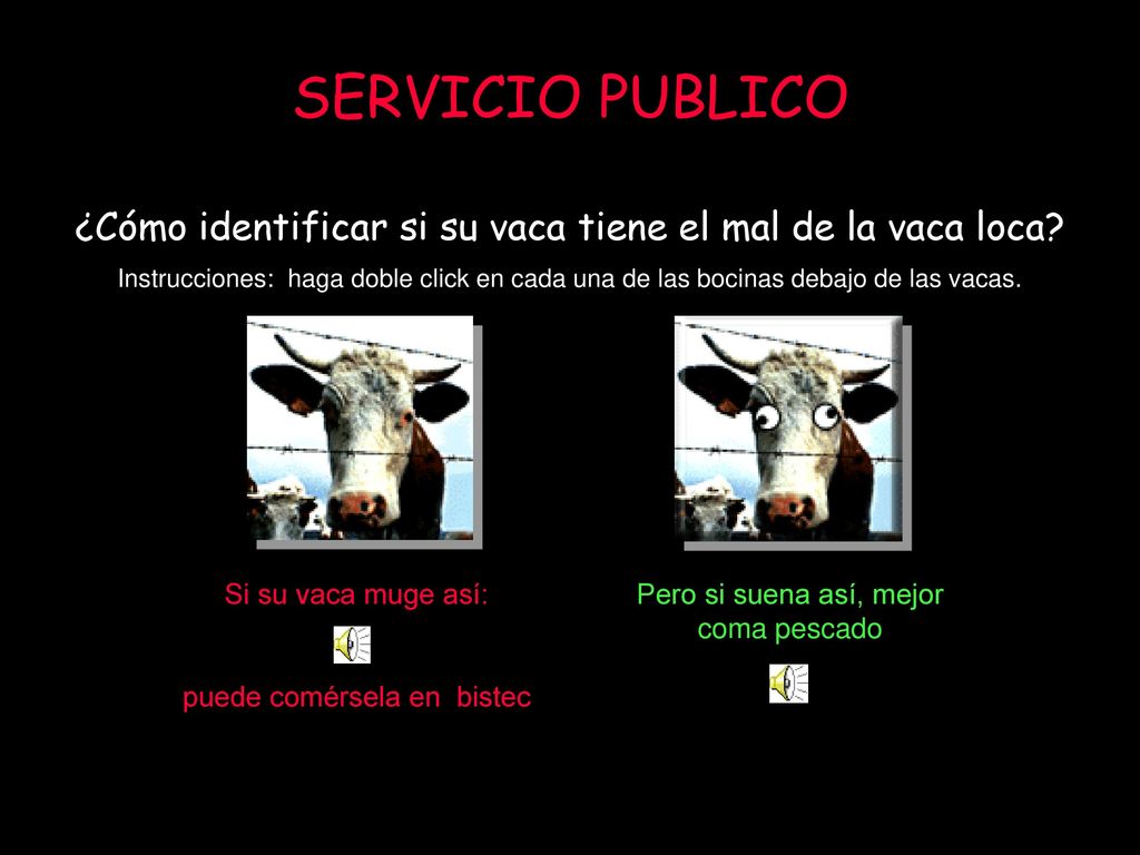 SERVICIO PUBLICO ¿Cómo identificar si su vaca tiene el mal de la vaca loca