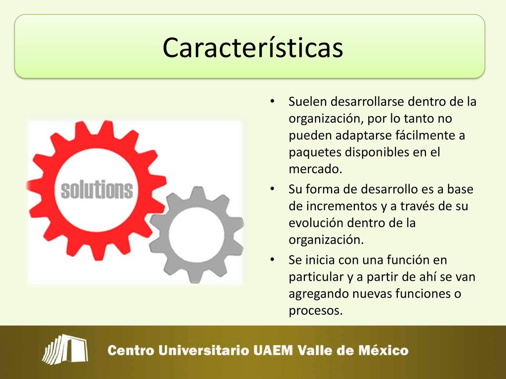 Características Suelen desarrollarse dentro de la organización, por lo tanto no pueden adaptarse fácilmente a paquetes disponibles en el mercado.