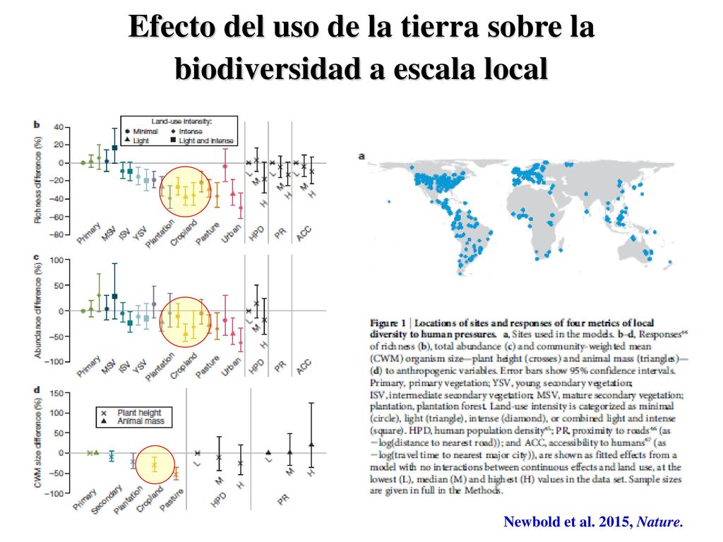 Efecto del uso de la tierra sobre la biodiversidad a escala local