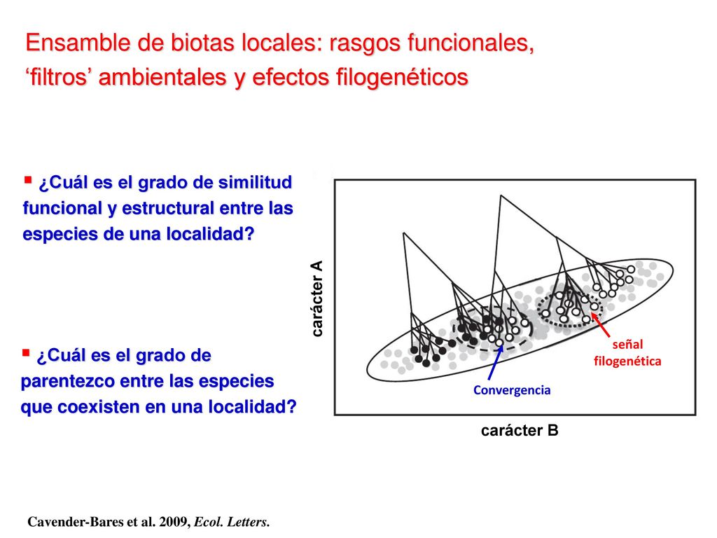 Ensamble de biotas locales: rasgos funcionales, ‘filtros’ ambientales y efectos filogenéticos