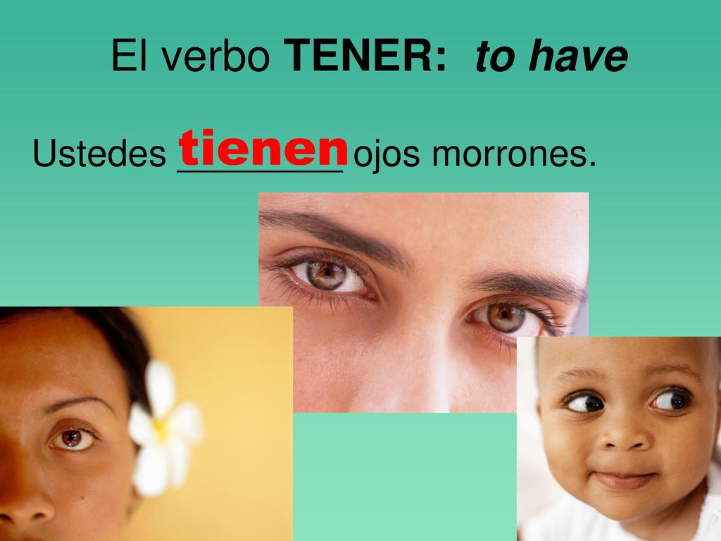 El verbo TENER: to have tienen Ustedes ________ ojos morrones.