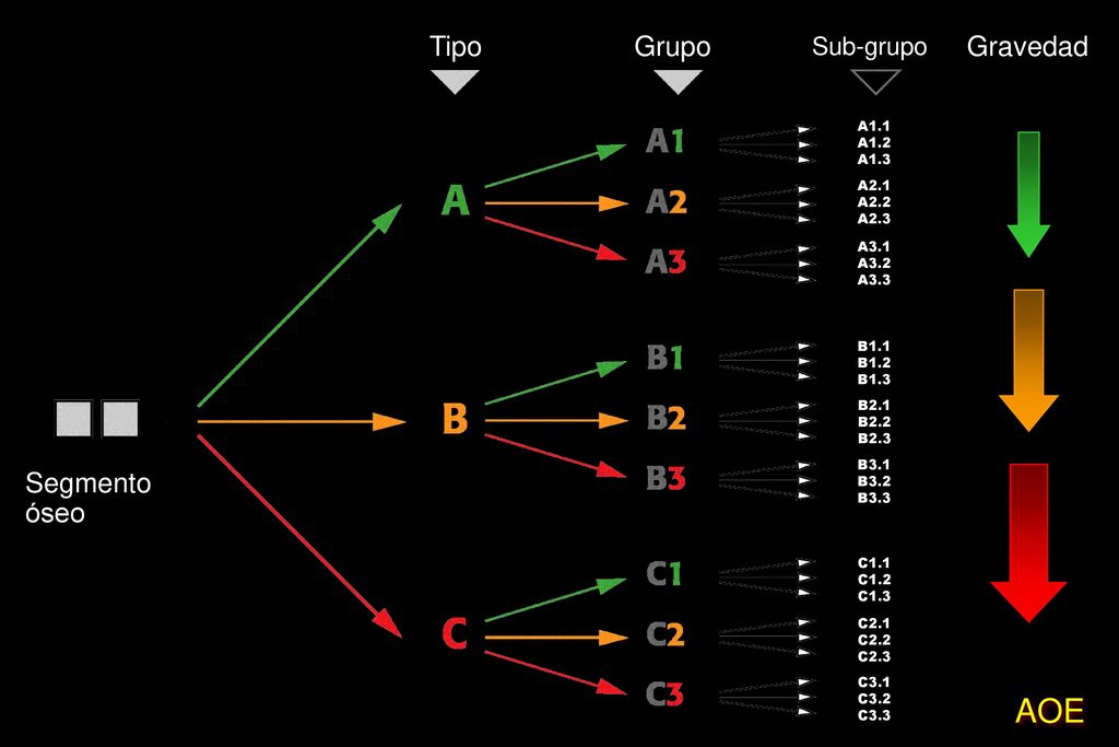 Segmento óseo Gravedad Tipo Grupo Sub-grupo A1.1 A1.2 A1.3 A2.1 A2.2