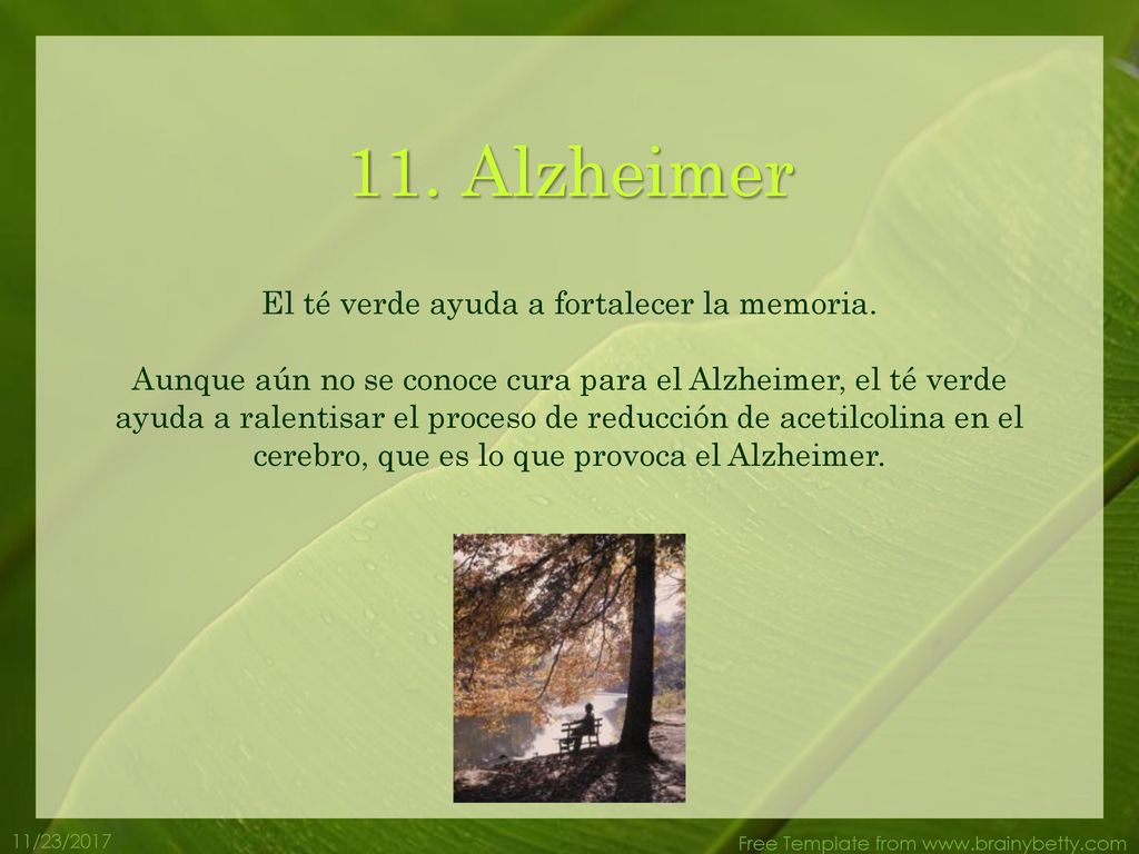 El té verde ayuda a fortalecer la memoria.