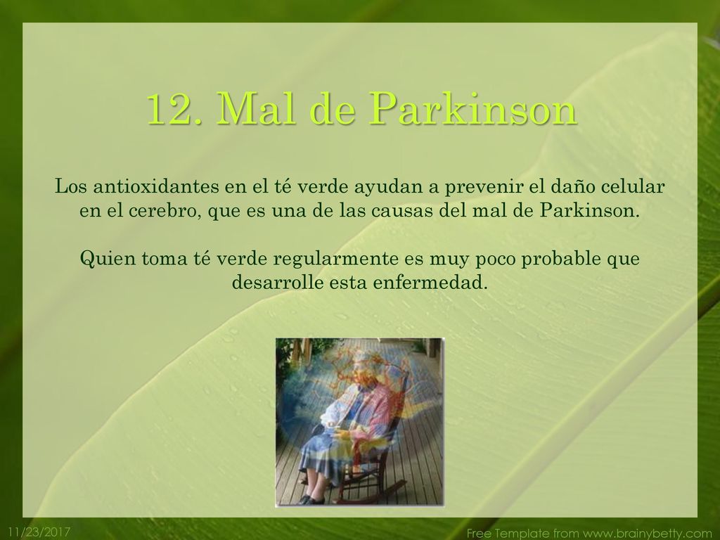 12. Mal de Parkinson Los antioxidantes en el té verde ayudan a prevenir el daño celular en el cerebro, que es una de las causas del mal de Parkinson.
