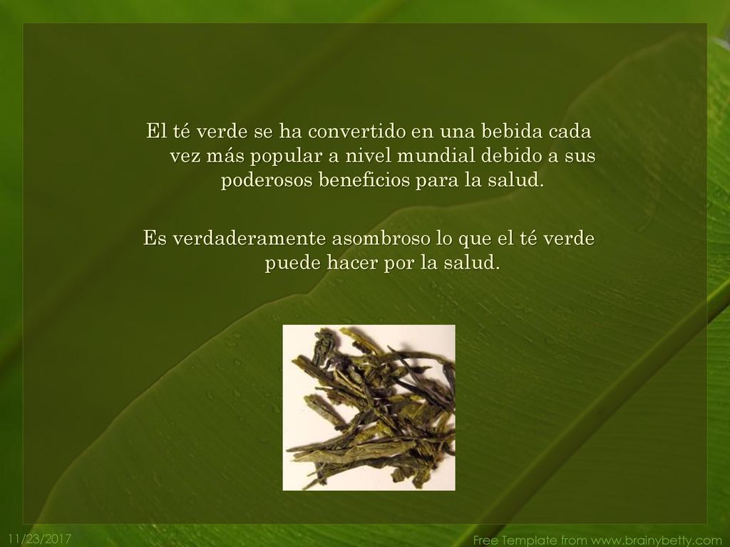 El té verde se ha convertido en una bebida cada vez más popular a nivel mundial debido a sus poderosos beneficios para la salud.