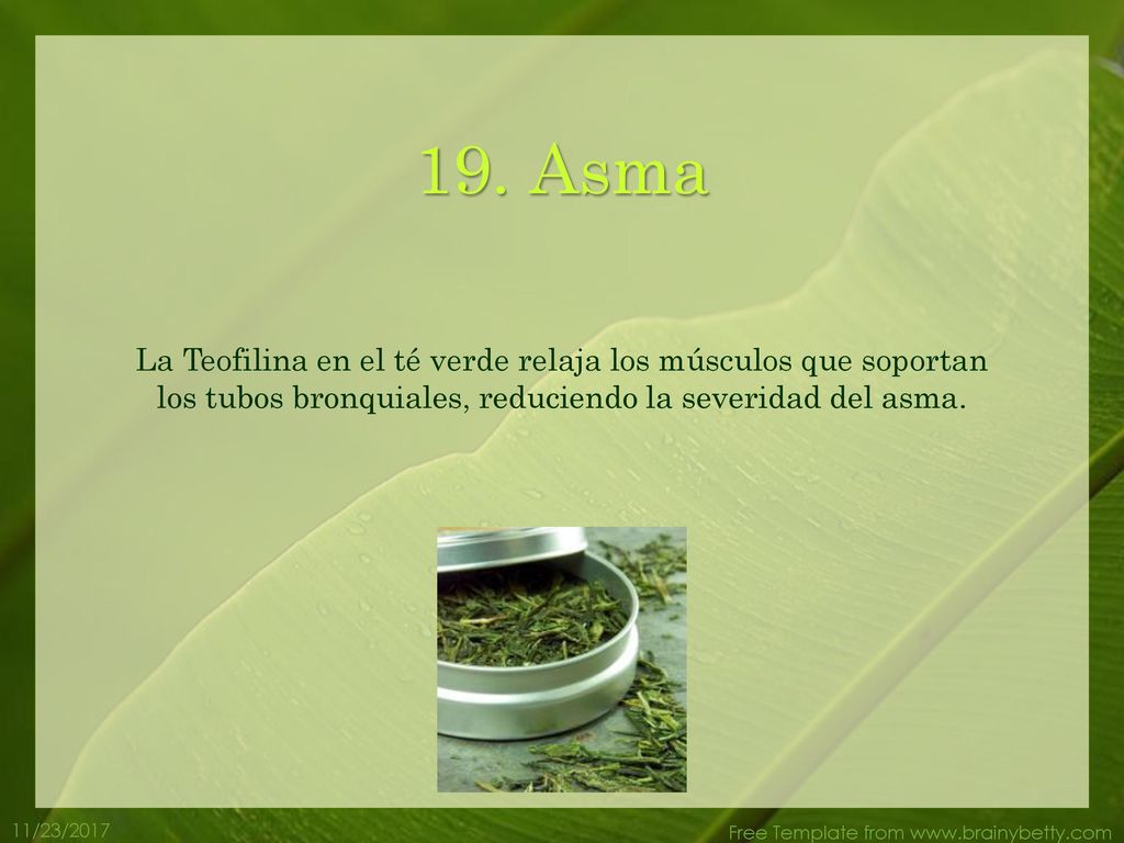 19. Asma La Teofilina en el té verde relaja los músculos que soportan los tubos bronquiales, reduciendo la severidad del asma.