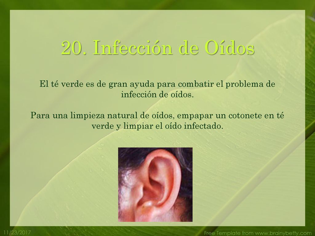 20. Infección de Oídos El té verde es de gran ayuda para combatir el problema de infección de oídos.