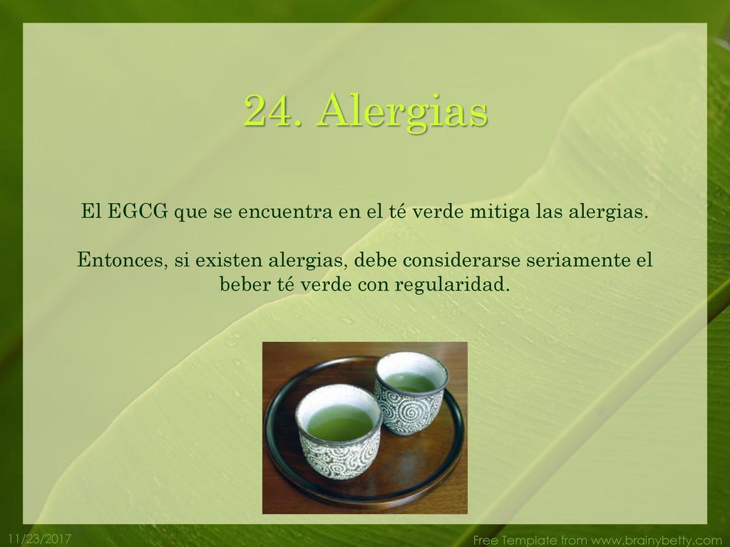 El EGCG que se encuentra en el té verde mitiga las alergias.