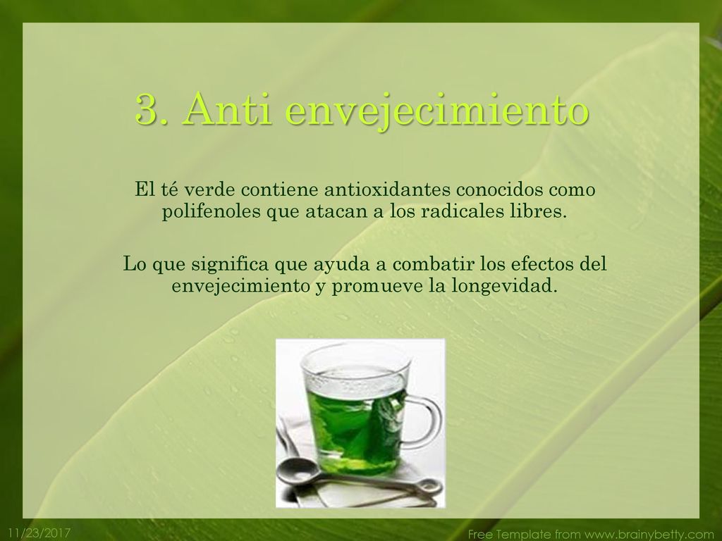 3. Anti envejecimiento El té verde contiene antioxidantes conocidos como polifenoles que atacan a los radicales libres.