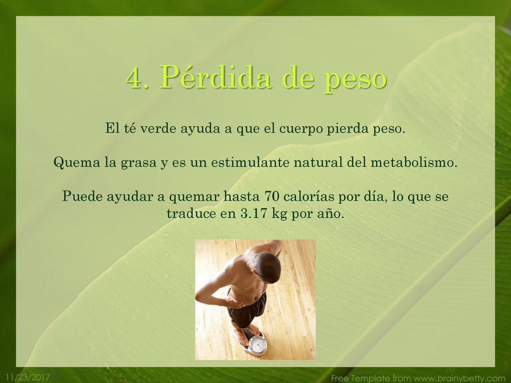 4. Pérdida de peso El té verde ayuda a que el cuerpo pierda peso.