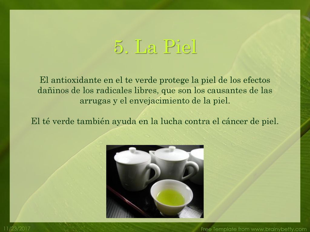 El té verde también ayuda en la lucha contra el cáncer de piel.