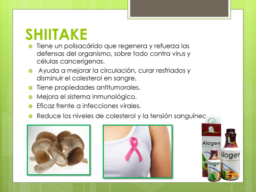 SHIITAKE Tiene un polisacárido que regenera y refuerza las defensas del organismo, sobre todo contra virus y células cancerígenas.