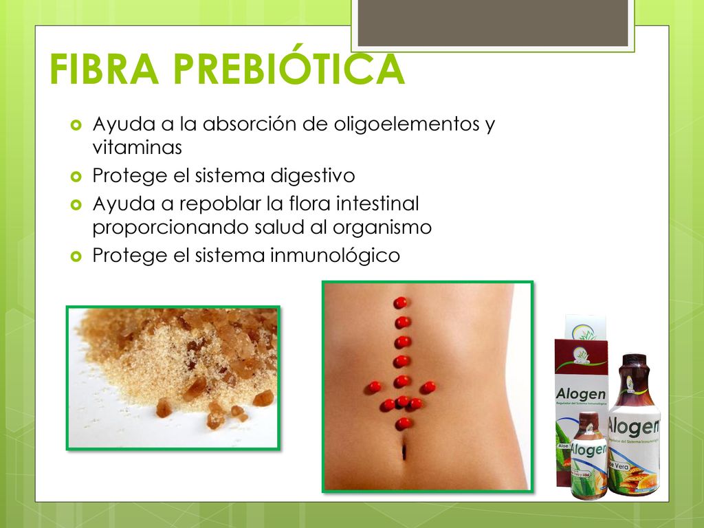 FIBRA PREBIÓTICA Ayuda a la absorción de oligoelementos y vitaminas