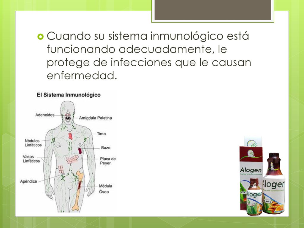 Cuando su sistema inmunológico está funcionando adecuadamente, le protege de infecciones que le causan enfermedad.