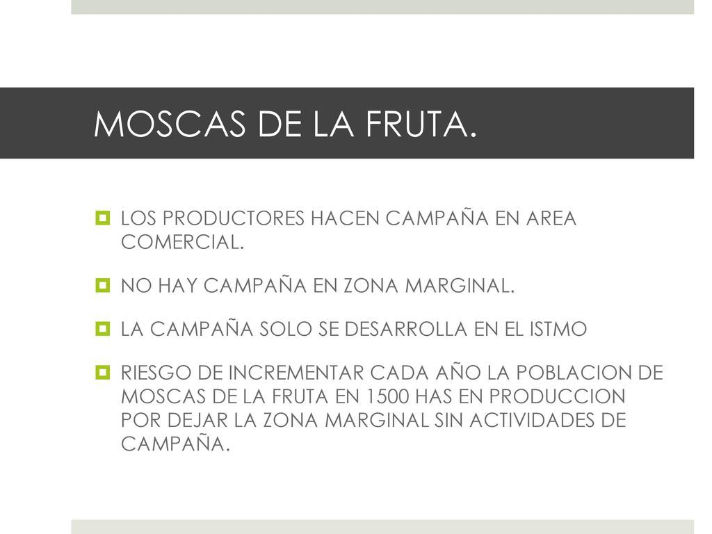 MOSCAS DE LA FRUTA. LOS PRODUCTORES HACEN CAMPAÑA EN AREA COMERCIAL.