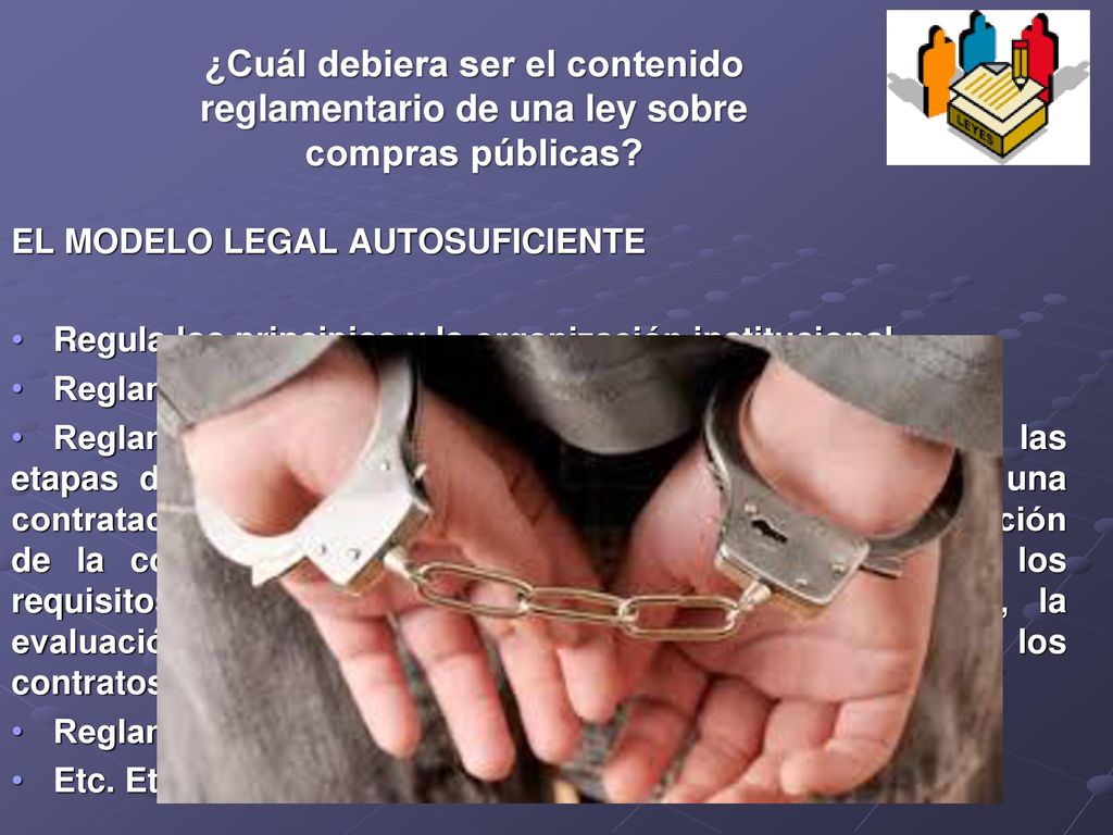 ¿Cuál debiera ser el contenido reglamentario de una ley sobre compras públicas