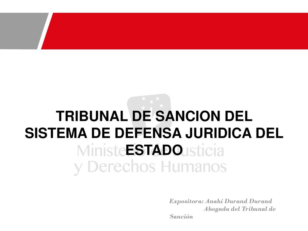 TRIBUNAL DE SANCION DEL SISTEMA DE DEFENSA JURIDICA DEL ESTADO