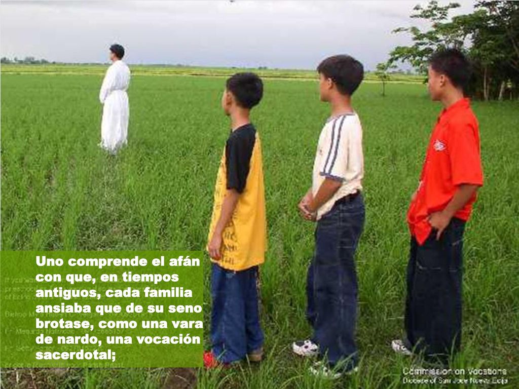 Uno comprende el afán con que, en tiempos antiguos, cada familia ansiaba que de su seno brotase, como una vara de nardo, una vocación sacerdotal;